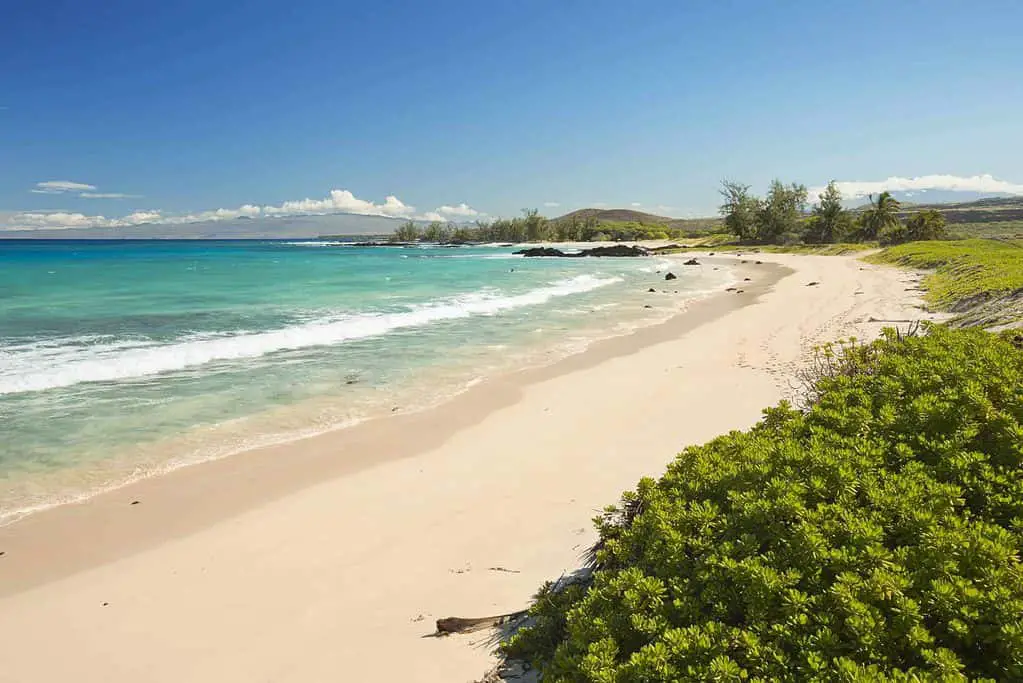 Can you swim from island to island in Hawaii
