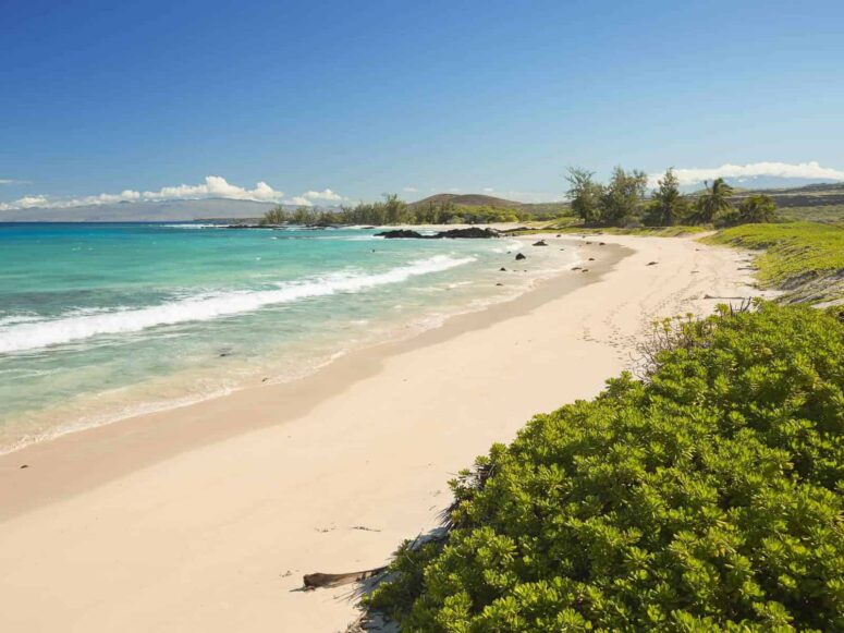 Can you swim from island to island in Hawaii?