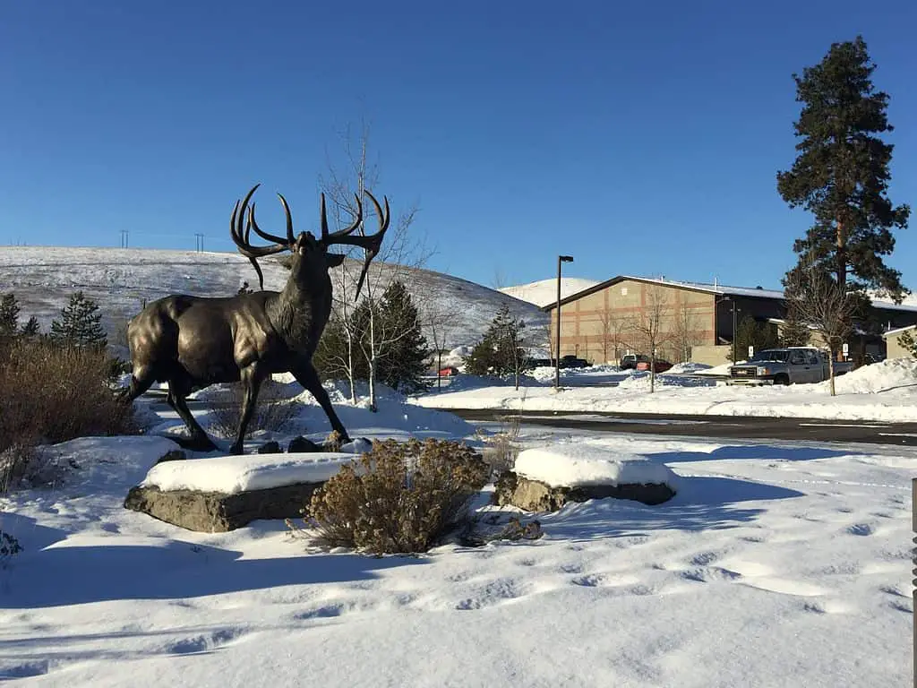 International Headquarters Rocky Mountain Elk Foundation - Elk Country Visitor Center, Missoula, Montana