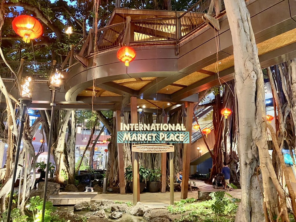 International Market Place banyan tree