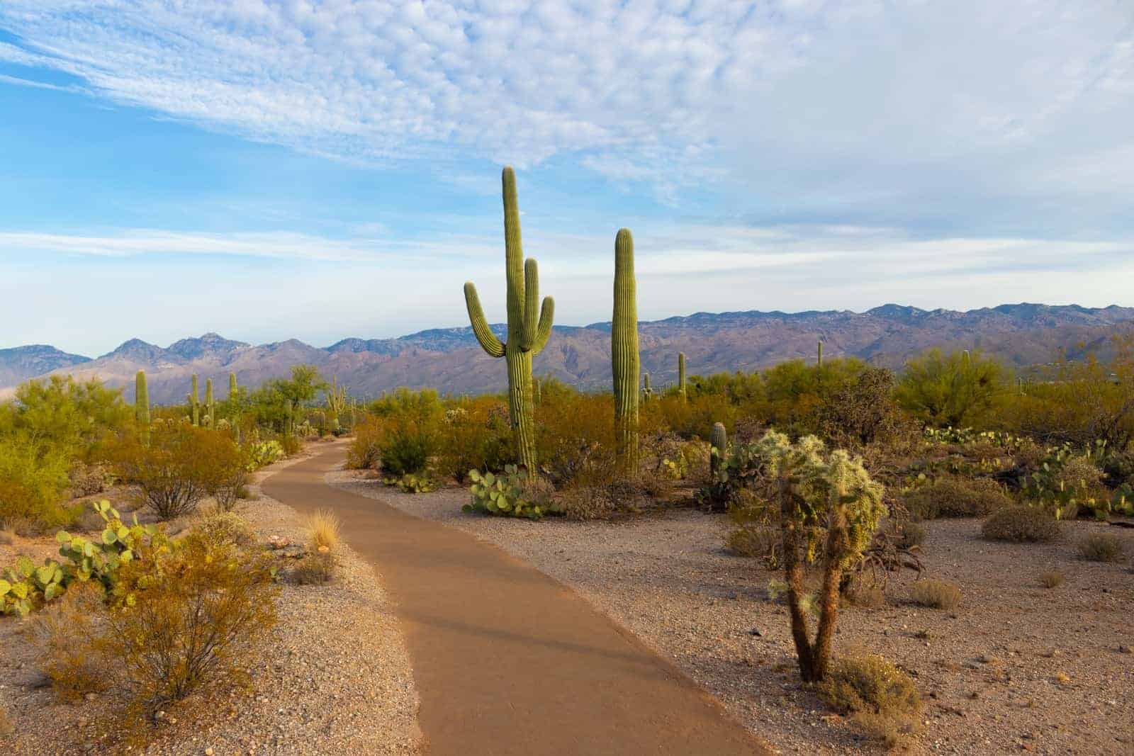 Tourist attractions in Arizona, USA
