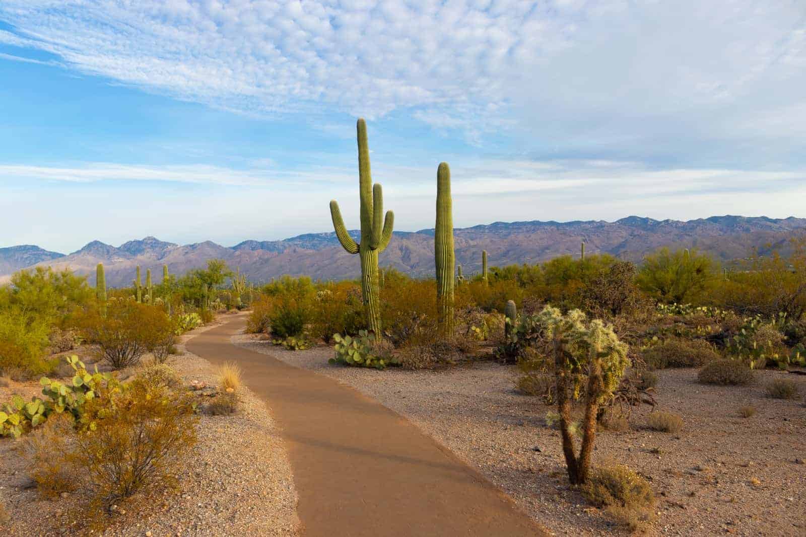 Turistattraktioner i Arizona, USA