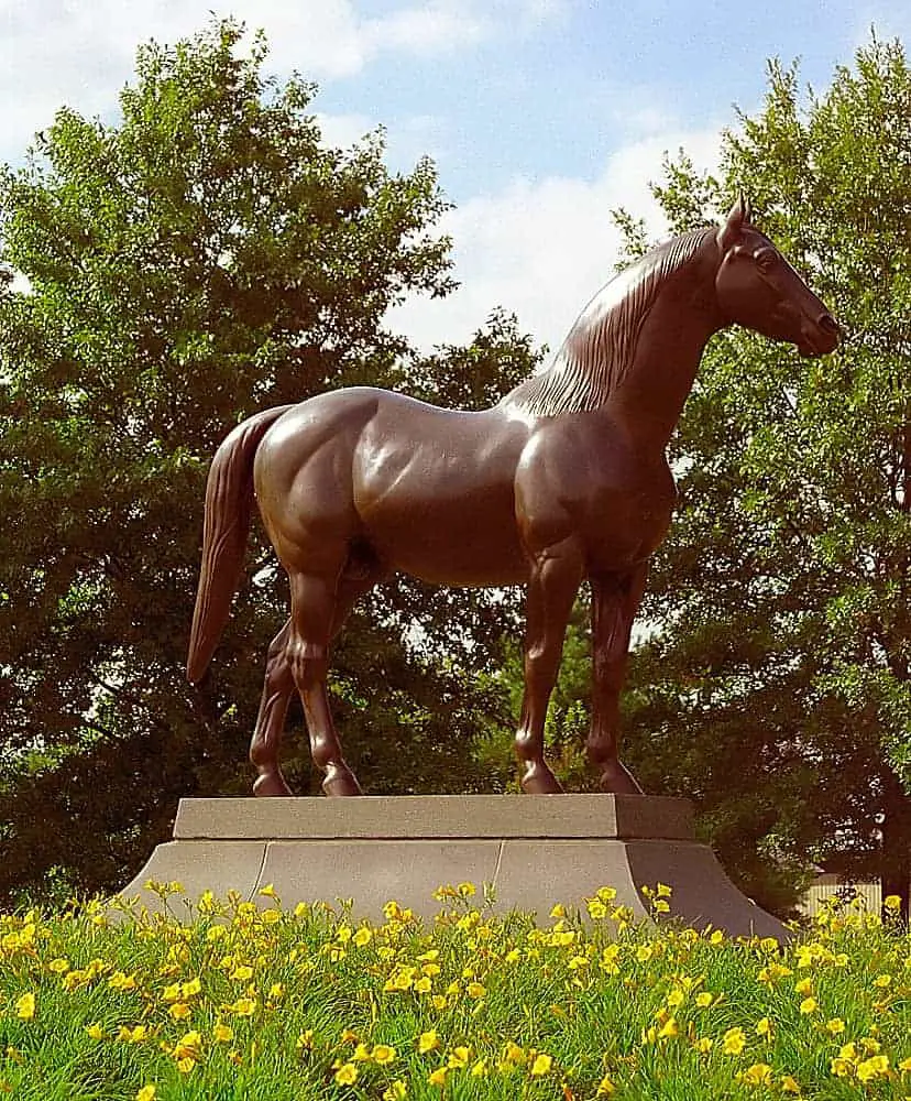 Best places to visit in Lexington, Kentucky - Kentucky Horse Park 'Man 'O' War'