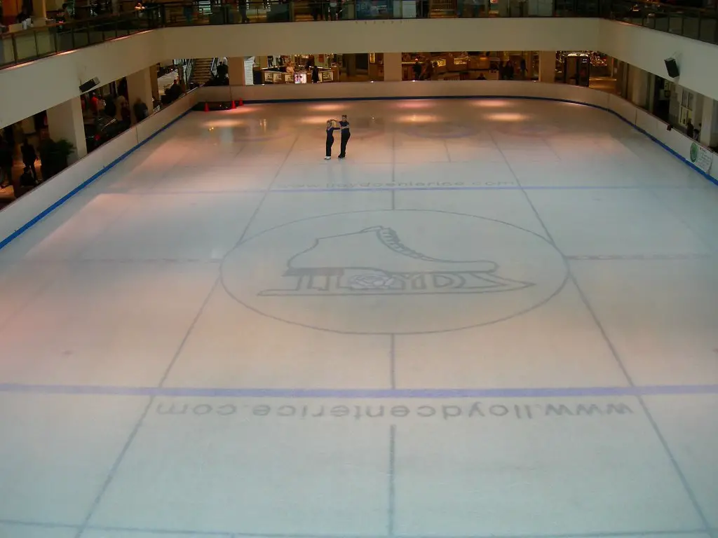Lloyd Center Portland Ice Rink Figure Skaters