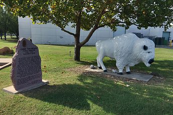Lone Buffalo outside the Comanche National Museum and Culture Center