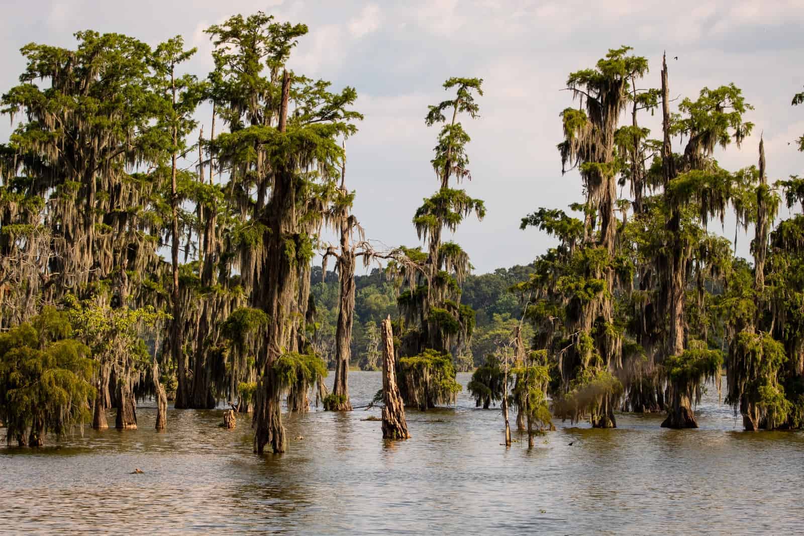 Principais lugares para visitar em Louisiana