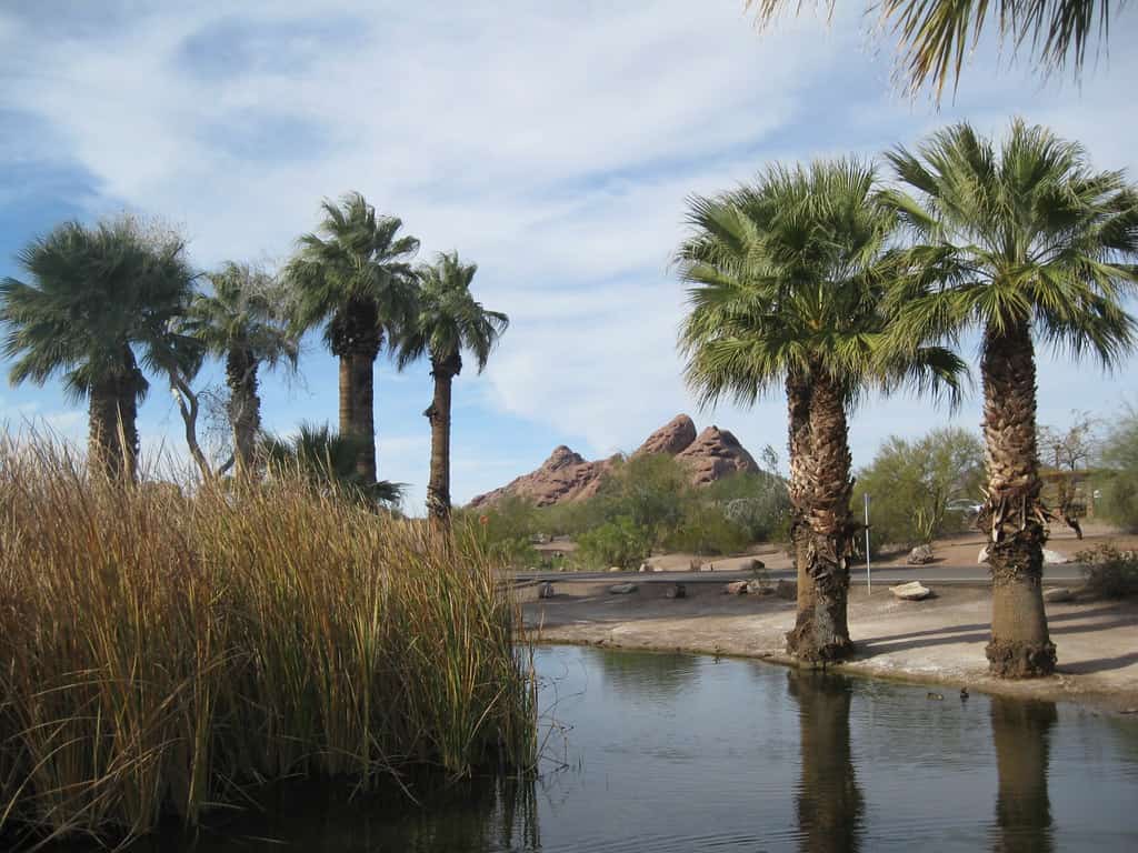 Papago Park - Phoenix, Arizona