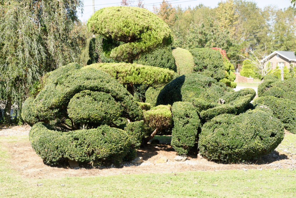 Pearl Fryar Topiary Garden Bishopville