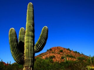 Fascinating places to visit in Phoenix, Arizona