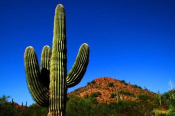 Fascinating places to visit in Phoenix, Arizona