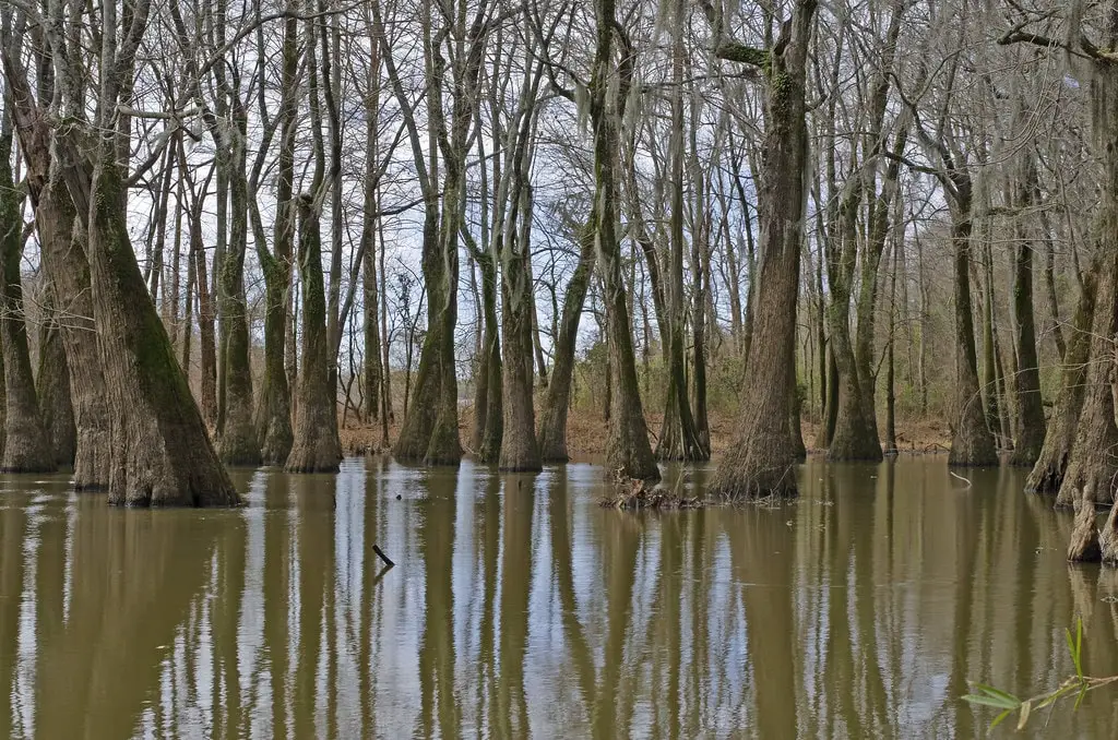 Places to visit in Jackson LeFleur’s Bluff State Park