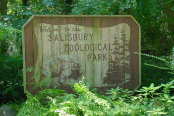 Salisbury Zoo Maryland