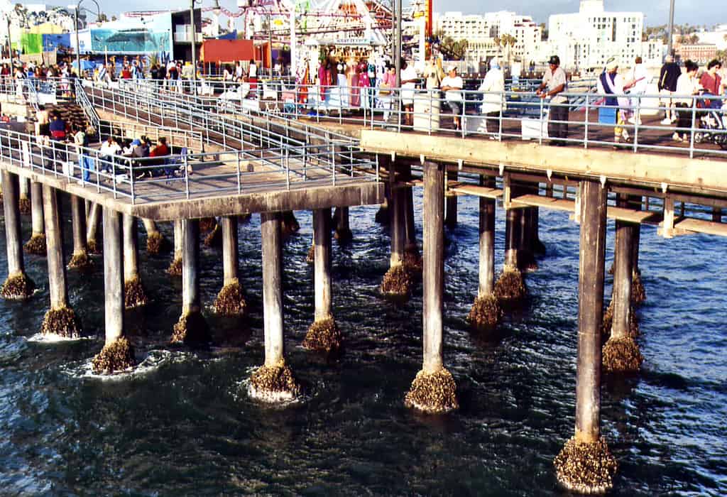 Santa Monica pier