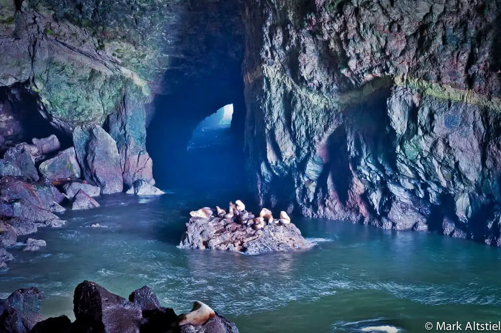 Sea Lion Caves - Florence, OR