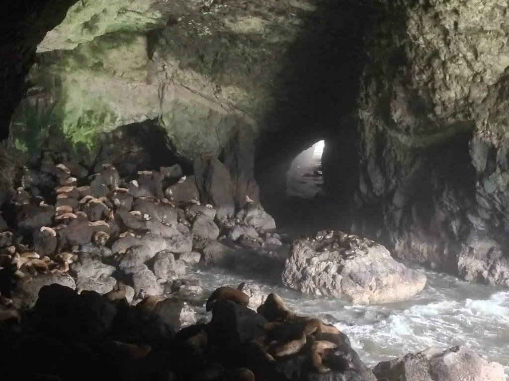 Sea Lion Caves, Florence, Oregon