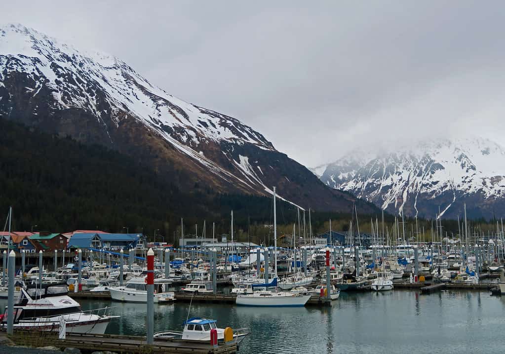 Seward Boat Harbor - Seward, Alaska