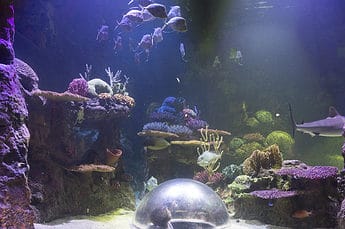 Shreveport Aquarium