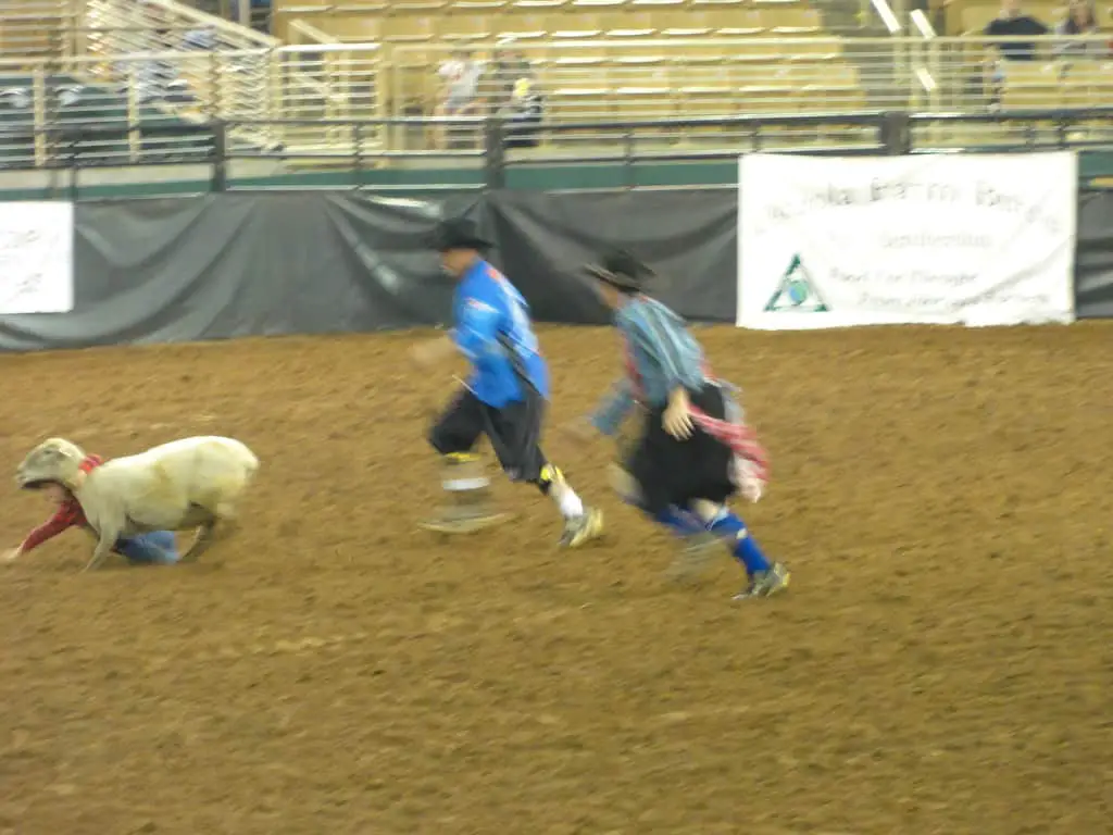 Silver Spurs Rodeo Show
