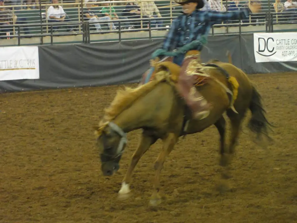 Silver Spurs Rodeo Kissimmee