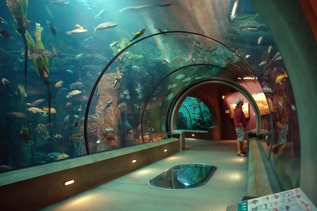 The Oregon Coast Aquarium, Newport, OR