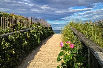 The Path to Footbridge Beach