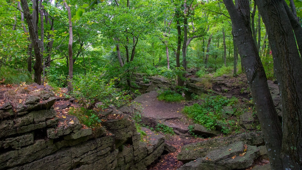 Things to Do in Appleton - High Cliff State Park