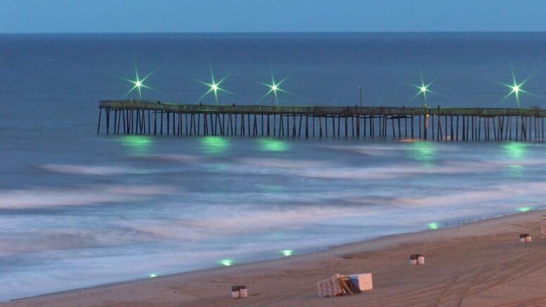 Stunning places to visit in Virginia Beach, Virginia