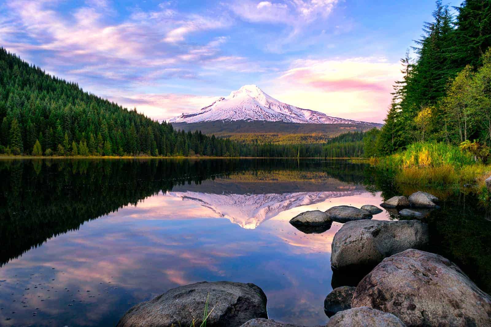 lake surrounded by pine trees near snow-covered mountain