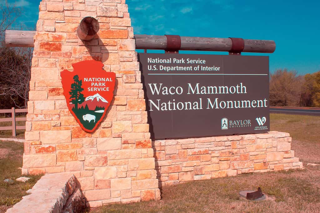 Best tourist attractions in Waco Mammoth National Monument
