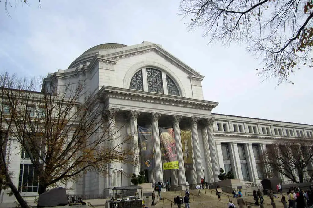 Washington DC: National Museum of Natural History