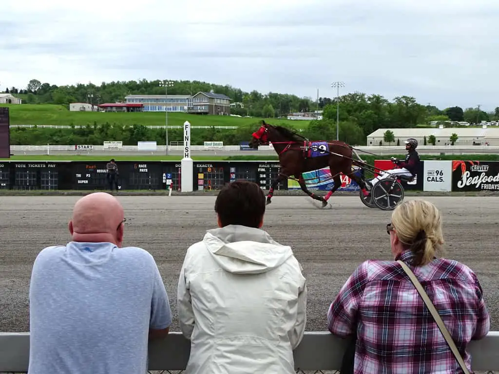 Watching the Horses - The Meadows Racetrack & Casino - Washington - Pennsylvania - USA