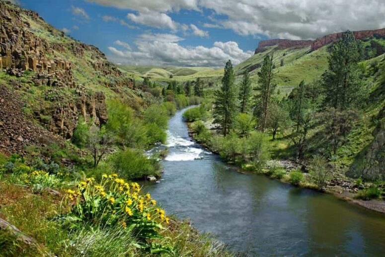 Main Arkansas Rivers
