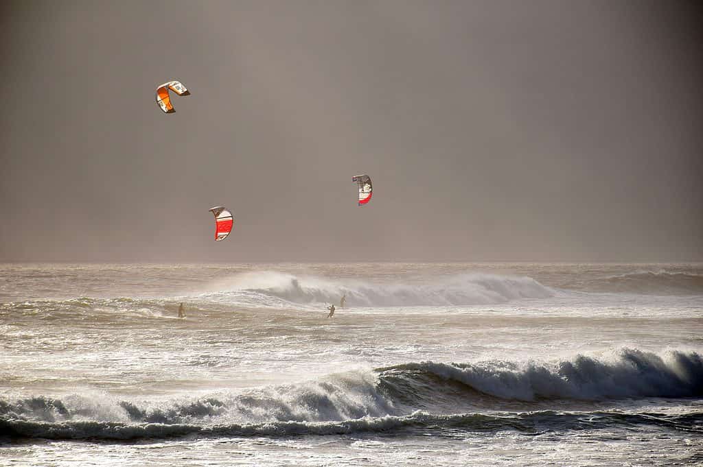 windsurfing ocean sea sport wind 1216304